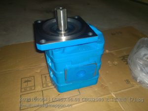 60301000041 LG853.06.08 CBGJ2080 LONKING GEAR PUMP