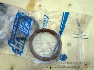 61500010100 WEICHAI OIL SEAL