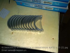61560030033 61560030034 612600030020 ROD BEARING 0.25