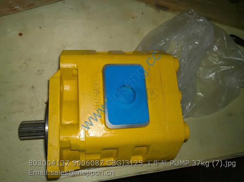 803004137 5006087 CBGJ3125 XCMG PUMP