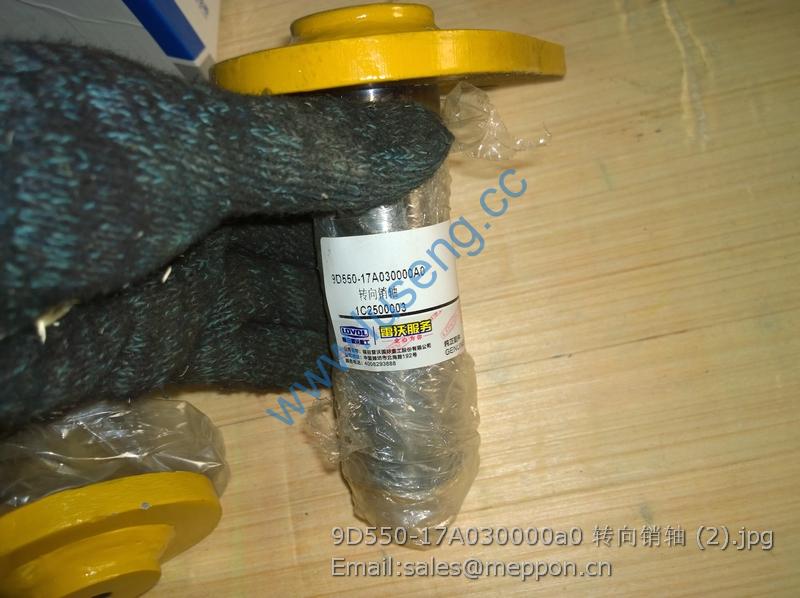 9D550-17A030000A0 FOTON LOVOL STEERING PIN